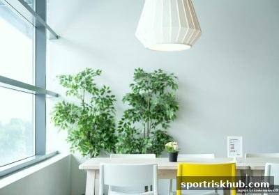 直觉与游戏决策：如何在体育博彩风险环境中培养判断力