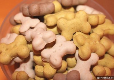 体育博彩风险下的首存优惠：明升M88如何为你打造安全开局？