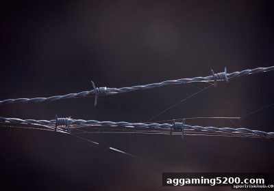 警惕体育博彩风险：数字货币平台失联的隐秘信号与全维度防护攻略